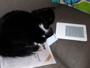 Initial research suggests that cats prefer print text as bedding. However, for reading...