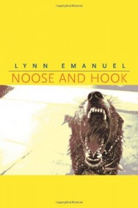 noose-and-hook