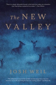 the-new-valley