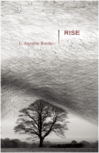 rise_cover