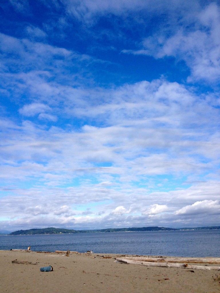 Alki Beach (c) Christine Hartzler