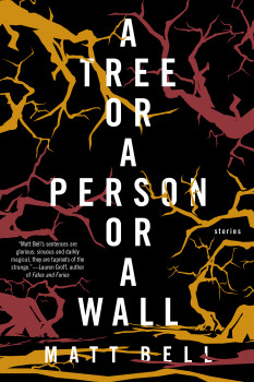 tree-or-a-person-or-a-wall