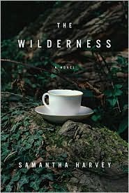 The_Wilderness