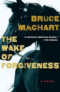 Wake of Forgiveness