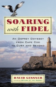 soaring-fidel