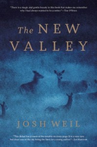 the-new-valley
